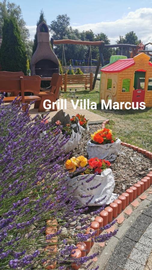 Villa Marcus 로비 외부 사진